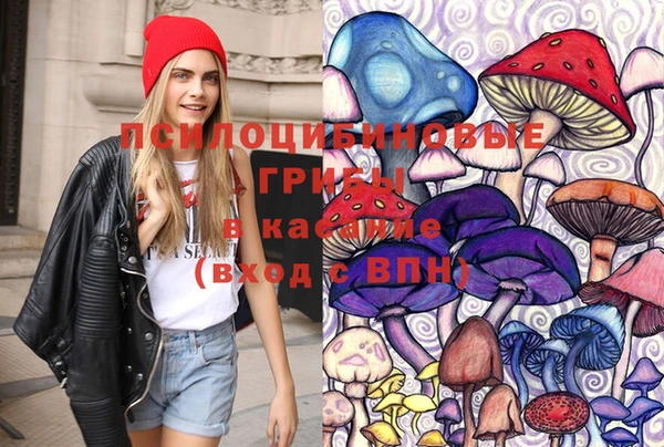 соль курить ск Ельня