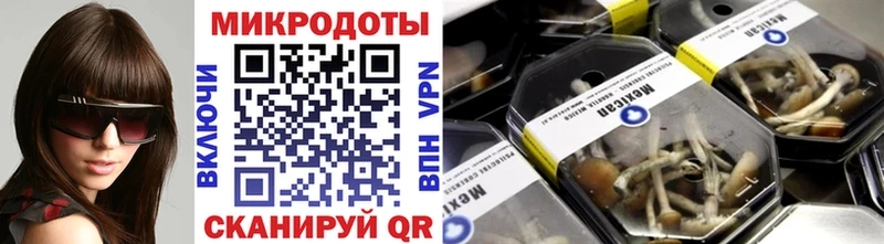 Купить закладки  Одинцово  Галлюциногенные грибы Psilocybe 