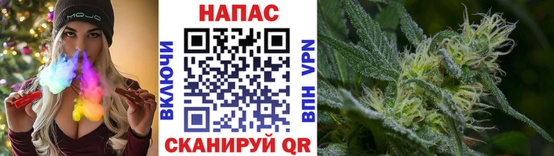 Конопля план  Купить закладки  Одинцово 